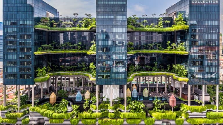 Green From the Top Down: Transforming Singapore’s Parkroyal