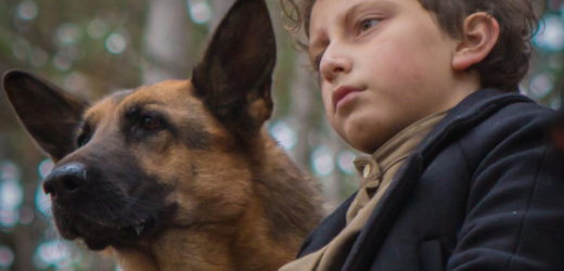 Film Spotlight: “Shepherd: The Story of a Jewish Dog”